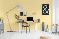 华润漆哪个颜色好看?属于国人的迎春花黄·黄白游