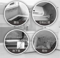 阴雨绵绵，墙面如何告别霉点？