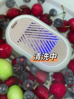 果蔬清洗机哪家强？博拉利果蔬清洗机去农残小能手