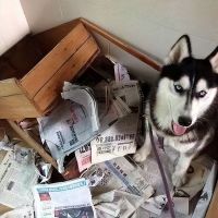 居家办公、上网课处处不便？华艺照明教你如何舒适又高效