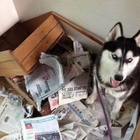 疫情当前如何舒缓居家压力?华艺照明有这些小贴士