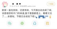 预告｜尚品本色新品——植物漆木门，重塑环保新生活，让自然住进家