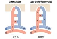 房子能自动调温?看金茂健科的科技系统如何做到