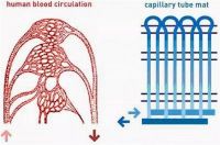 房子自动调温?金茂健科的科技系统是如何实现的?