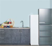 在日本哪家冷柜最受欢迎？海尔双品牌冷柜份额TOP1