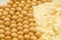 天然生态基因锁定莫干山豆茵板ENF级环保品质