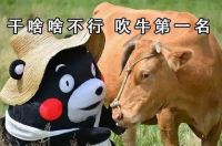 搜好房：地产“考生们”，这些题你都能答对吗？