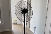 对甲醛知道多少，如何除甲醛？有效方法这6种！