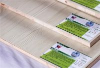 万象板材是一线品牌吗