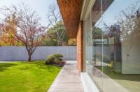 那些不为人知的办公室花卉风水知识