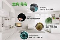 新房除甲醛方法辟谣！看看你都中招踩坑哪些？正确方法学起来！