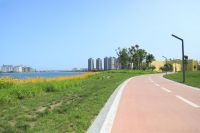 金鼎地产|疫情后居住新思考,我们到底需要怎样的居住环境?