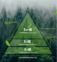 兔宝宝：从环保践行者到标准参与制定者