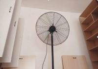 都2022年了！你还在只靠通风除甲醛？根除甲醛看这里！