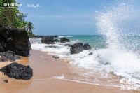 掌上明珠旅行·家3.0｜用美好设计去做生活本身，「原野」如何治愈身心？