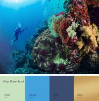 研究色彩趋势，可加速“爆款模式”的启动？| 对话雷诺丽特沈晓莲