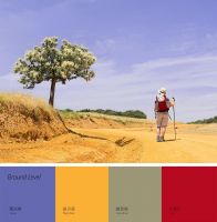 研究色彩趋势，可加速“爆款模式”的启动？| 对话雷诺丽特沈晓莲