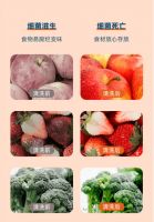 果蔬清洗机哪个牌子好?东菱果蔬清洗机靠谱吗?