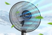 还在当人肉净化机？这些除甲醛办法告诉你