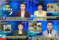 「甲醛知识科普」用对方法治理才是王道