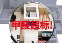 新房除甲醛用什么办法最快？急住的朋友必看！