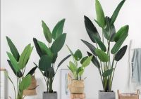 甲醛只是新房的“常客”？错，老房子的甲醛含量也会超标