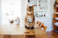 家具少就没有甲醛？这个想法就错了，赶紧看看你家污染超标没