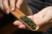 如何储存春茶？教你几个方法轻松留住茶叶香气
