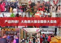 3年狂增1800+经销商，中国瓷砖增长王大角鹿为什么如此吸引经销商？