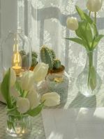 315品质生活节丨装修不想将就？质惠双全的久盛地板拿捏住了！