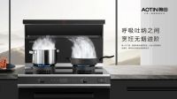 奥田集成灶开年再获捷报！荣获“高效净化环保之星”、“IDA国际设计大奖”！