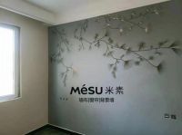 梅雨季如何防止墙面发霉？一定要看米素总结的这篇防霉除霉攻略