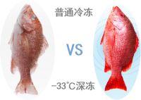冰箱怎么选？格力晶弘516全域养鲜冰箱为你解决所有保鲜难题！