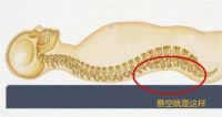 帕迪亚乳胶床垫怎么样？值得入手吗？评测揭晓真相