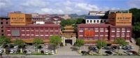 卓木王再度蝉联“2023年度东阳市木雕红木家具龙头企业”