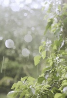 暴风雨极端天气侵袭！门窗怎么选才安心？