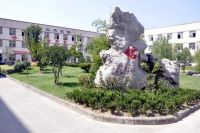 李忠信红木：以信铸魂，以匠传世