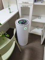 新房去甲醛哪种方法更有效？花费2万元，用实测数据告诉你！