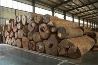 巧夺天工 | 一件传世精品，何以成为中国人的社交诗篇？