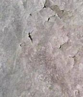 试水10天？防水层起皮开裂！