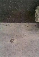 试水10天？防水层起皮开裂！