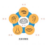 吴伟：情境美学如何成为产业新增长极？