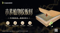 新品速递|兔宝宝木素植物胶板材，用环保+强韧诠释真・实力派