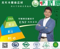 桥牌板材是一线品牌吗？深度解析其品牌实力与市场地位