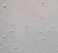 刚刷好的墙漆，起泡了？
