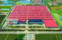 获“2025大红酸枝家具热门品牌”，巧夺天工红木张晴接受央视主持人采访