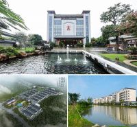 获“2025红木家具十大影响力品牌”，国寿红木陈淦凡接受央视主持人采访