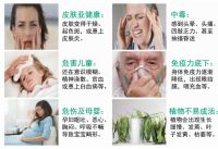 墙面开裂、发霉、有味道？问题都出在这层 “看不见的材料”