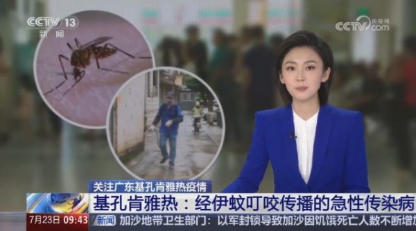 2026年蚊扰频发如何防护?纱窗选购避坑攻略 实力品牌盘点