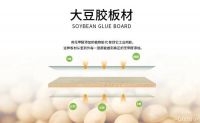 从‘无毒不牢’到‘环保又耐用’，雪宝板材微晶纤维素大豆胶攻克环保技术难关